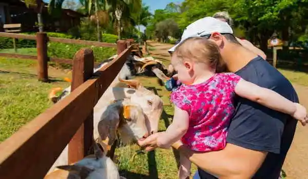 hotel-fazenda-areia-que-canta