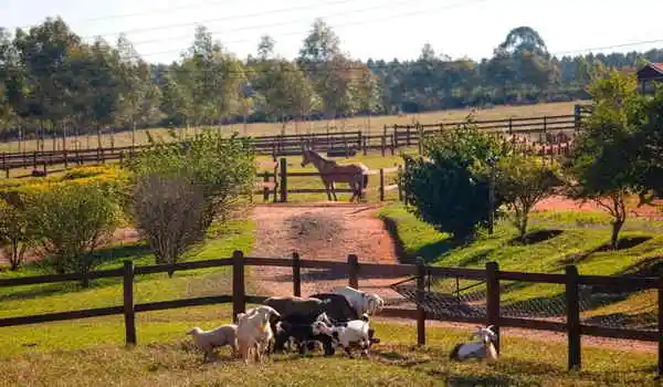 hotel-fazenda-areia-que-canta