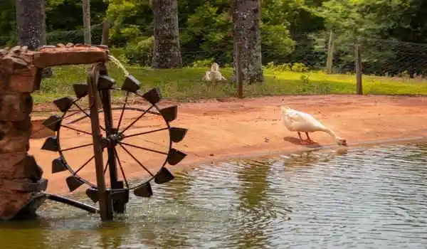 hotel-fazenda-jacauna