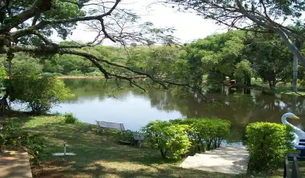 chacara-eco-resort-canto-dos-passaros