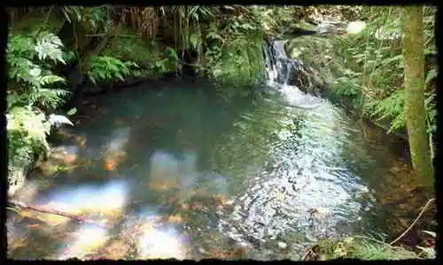 rancho-do-gnomo-chales-camping-rock-bar